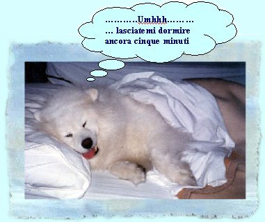 anche io voglio dormire
